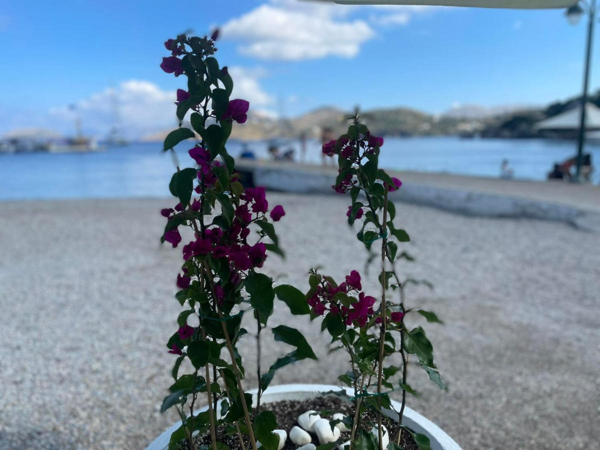 Apartament Ονειρόπετρα Λέρος~Oneiropetra Leros Panteli Zewnętrze zdjęcie