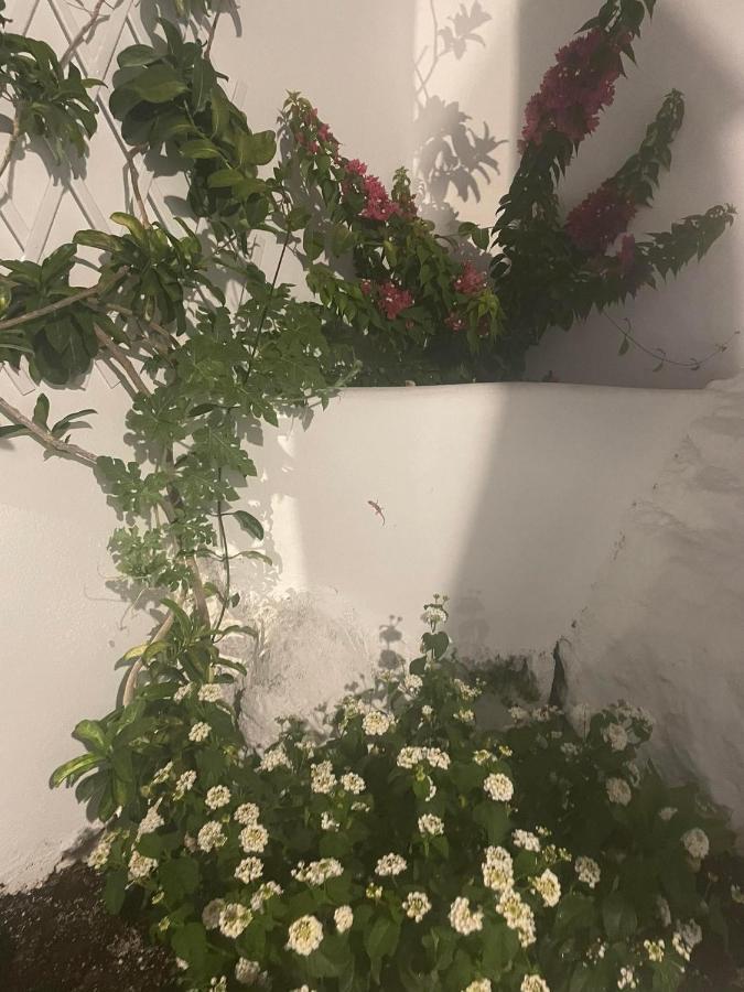 Apartament Ονειρόπετρα Λέρος~Oneiropetra Leros Panteli Zewnętrze zdjęcie